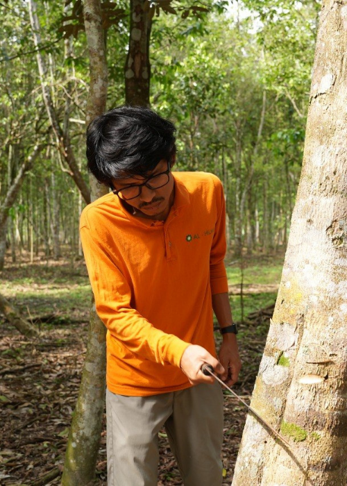 Proses pengeluaran 2